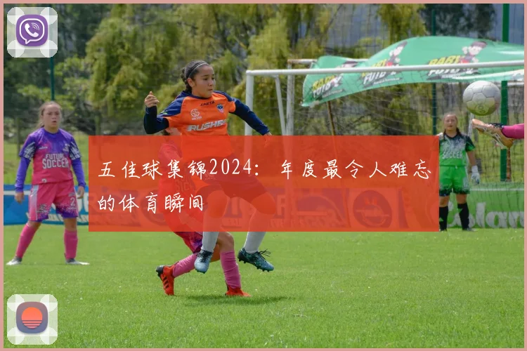 五佳球集锦2024：年度最令人难忘的体育瞬间