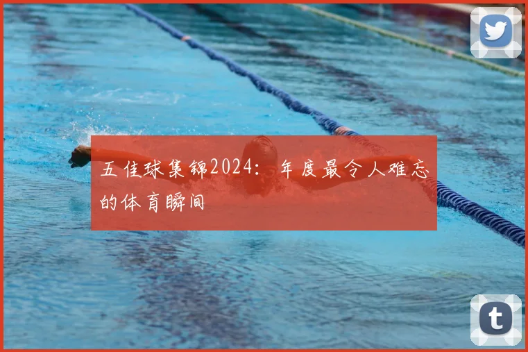 五佳球集锦2024：年度最令人难忘的体育瞬间