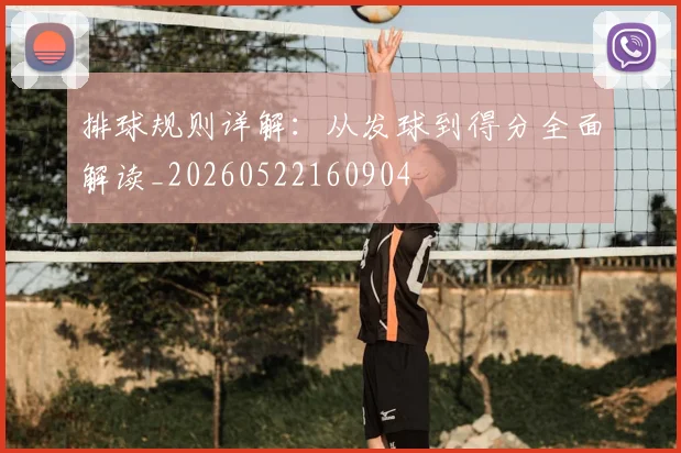 排球规则详解：从发球到得分全面解读_20260522160904