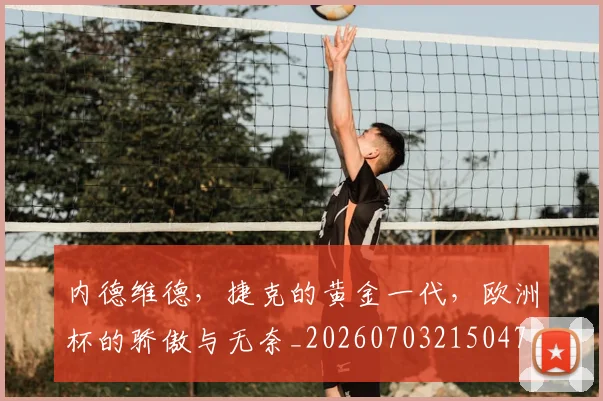 内德维德,捷克的黄金一代,欧洲杯的骄傲与无奈_20260703215047_20260718004758
