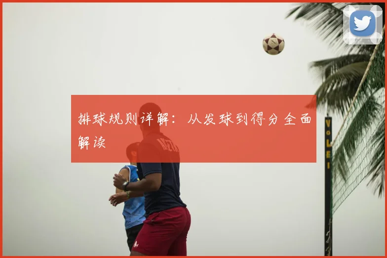 排球规则详解：从发球到得分全面解读